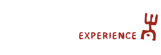 experience